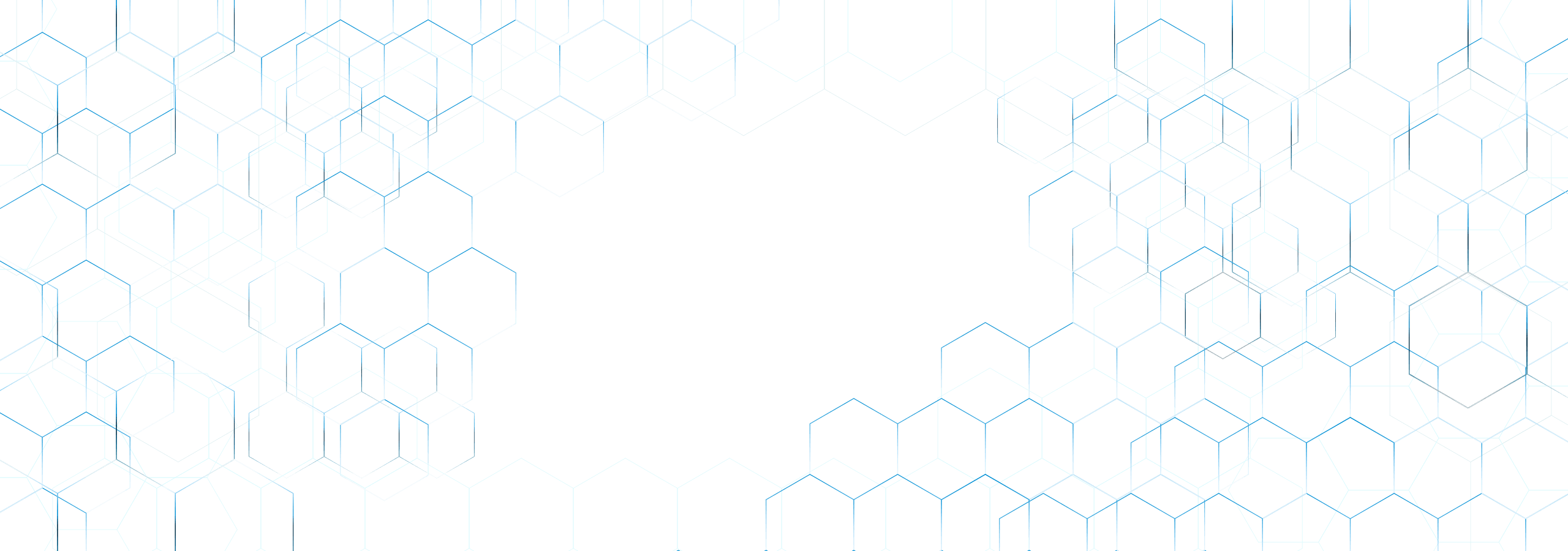 Mulcan Consulting Decor hexagons